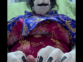 太ったハスキーのチャイナドレス