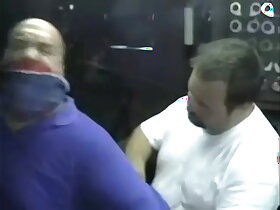 Bear bound and gagged